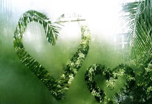 乐鱼体育-关于灰熊完胜76人，戈贝尔状态火热的信息